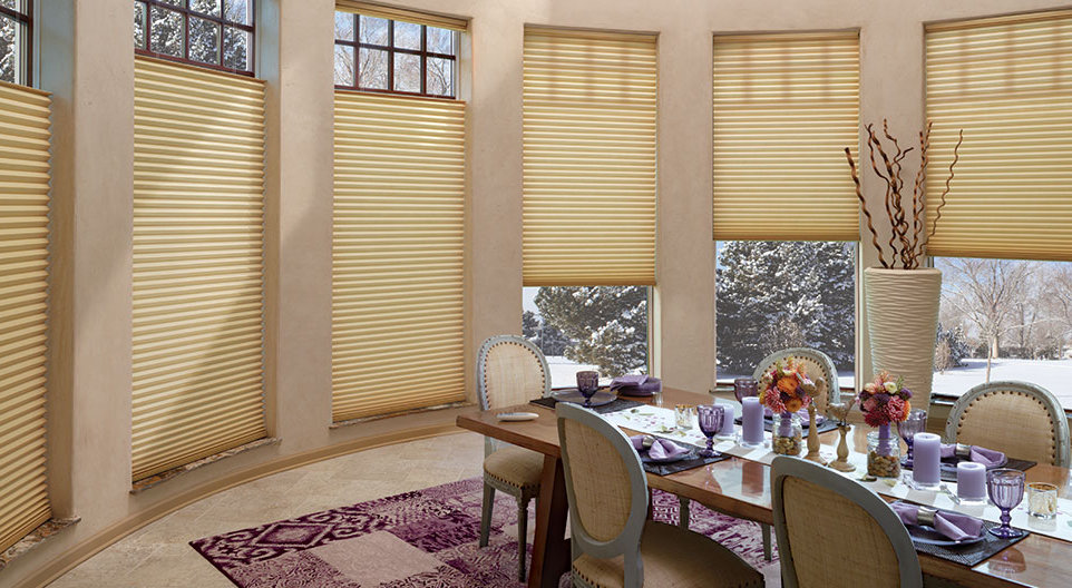 Pleated or Honeycomb Shades?