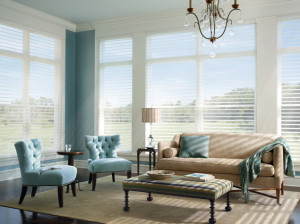 Window coverings to maintain your view