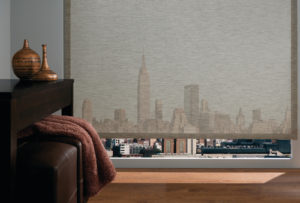 Designer Roller Screen Shades in the Living Room