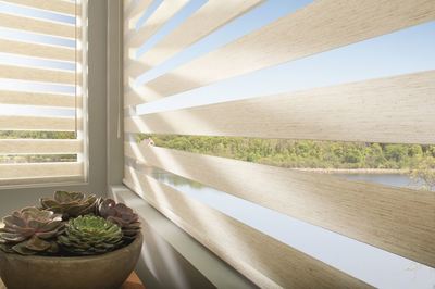 Great New Options in Window Treatments